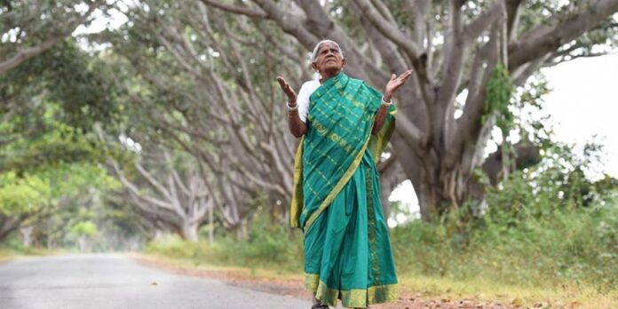 saalumarada-thimmakka