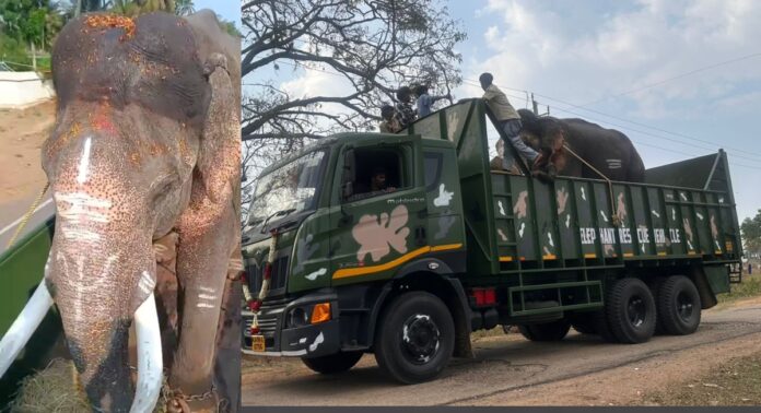 ಗಜೇಂದ್ರ ಆನೆ