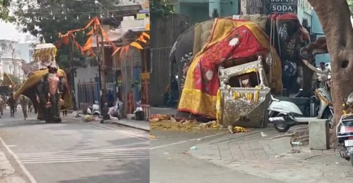 ಶಿವಮೊಗ್ಗ ದಸರಾ